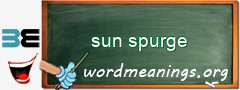 WordMeaning blackboard for sun spurge